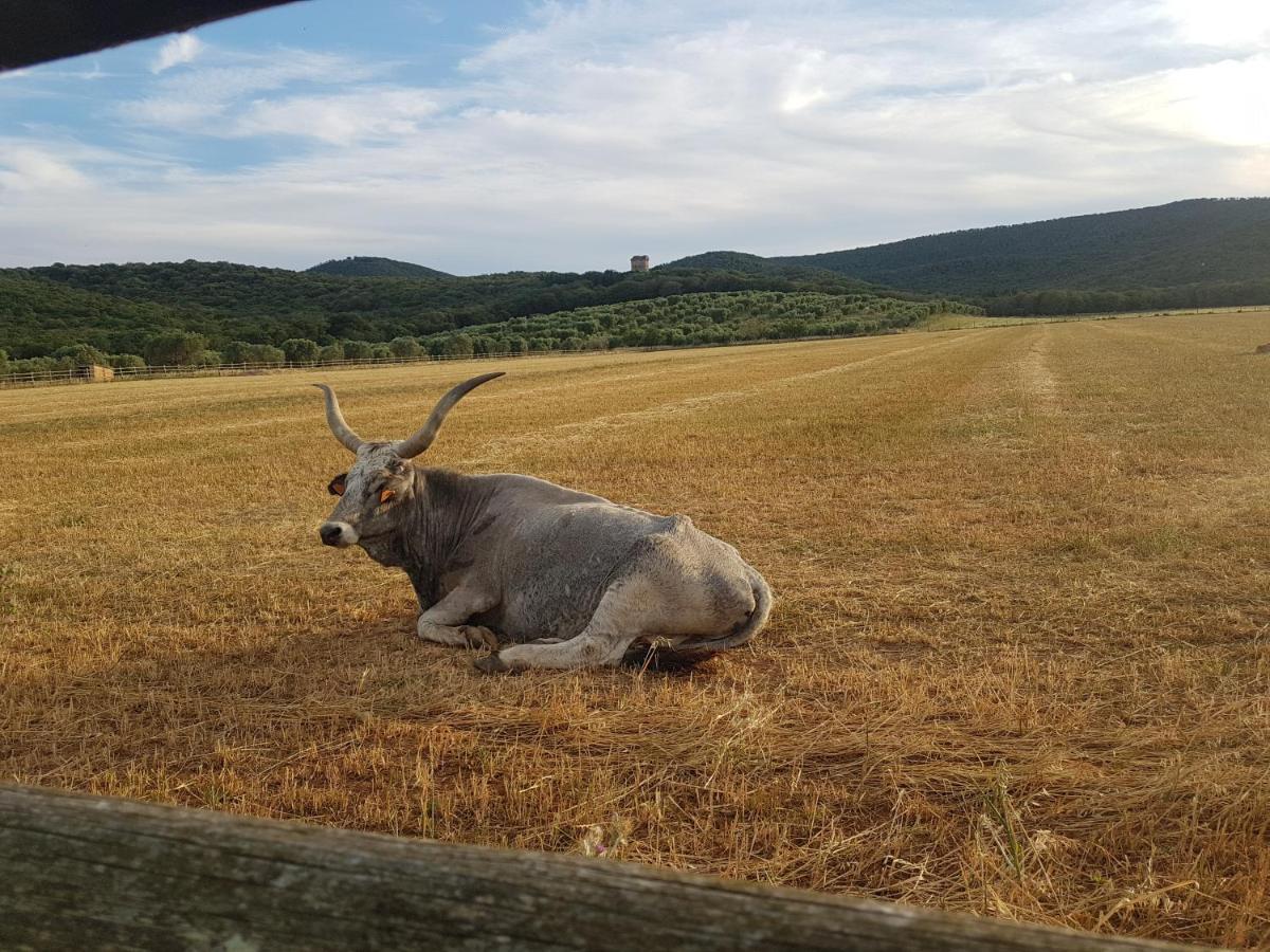 Tenuta Agricola Dell'Uccellina Magliano in Toscana Exterior foto